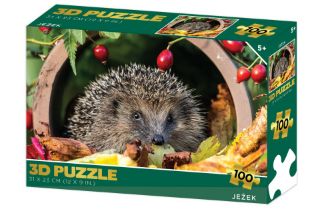 Obrázek z Puzzle 3D - Ježek 100 dílků 